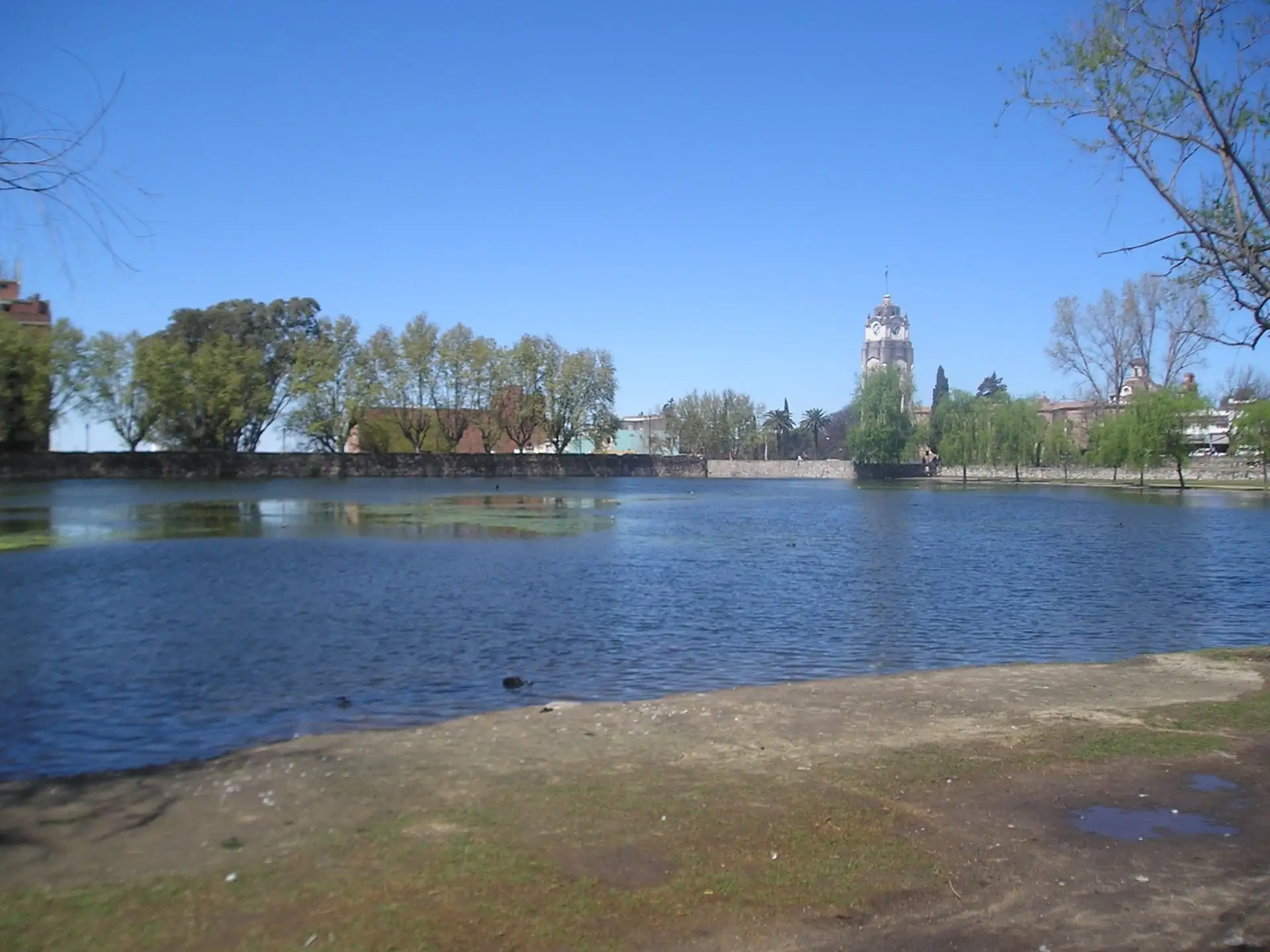 Tajamar shoreline and trees in Alta Gracia