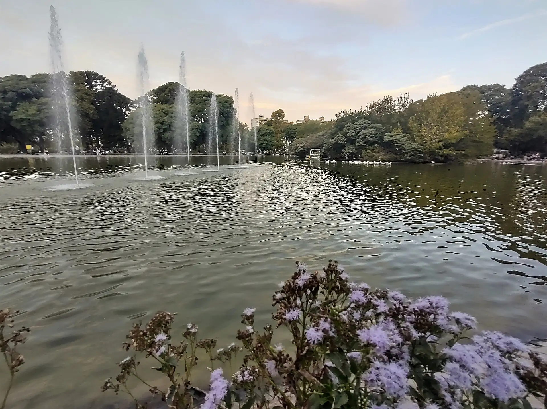 The lake in Parque Centenario