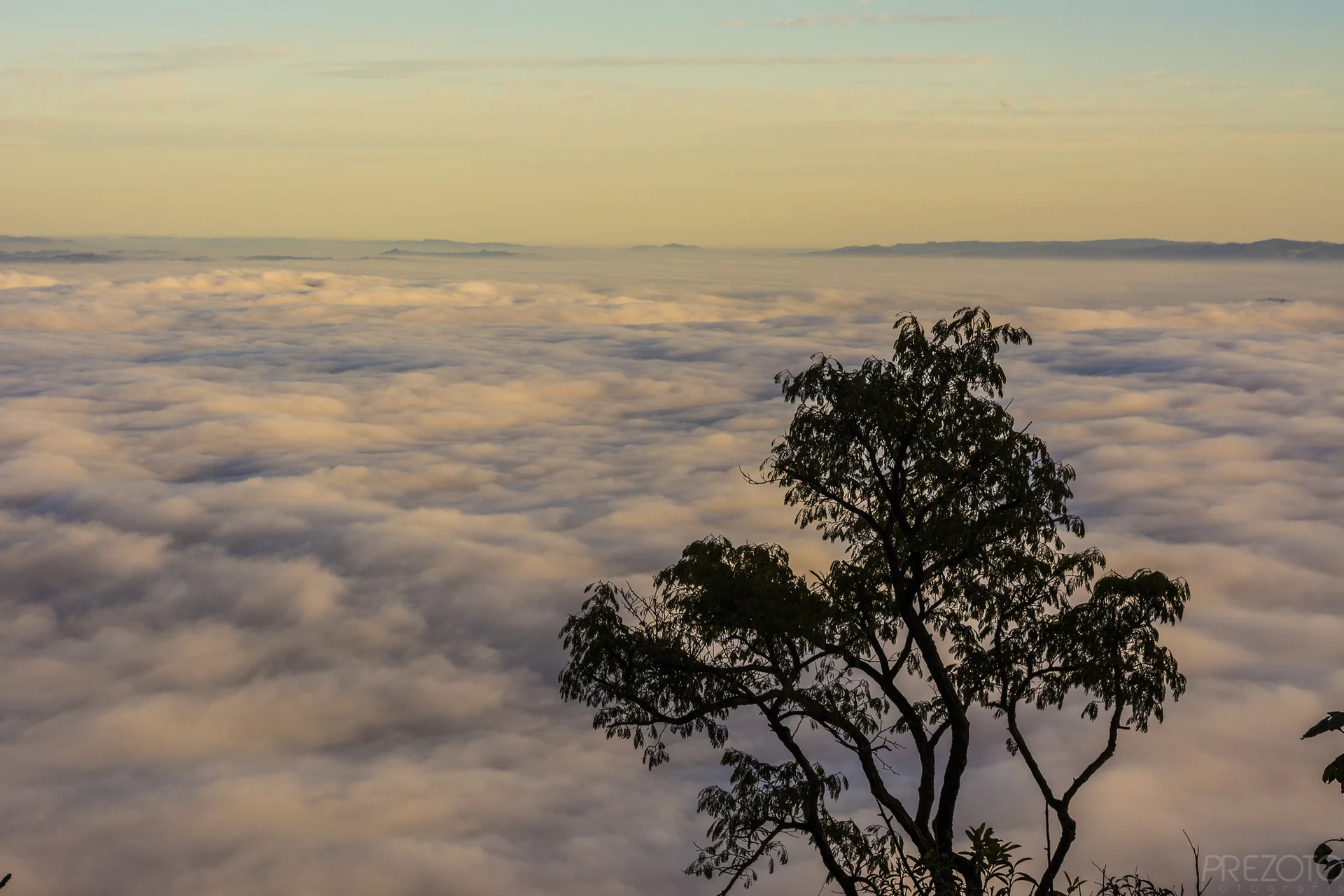 Clouds, distant hills and a tree in a view associated with Pedra Grande, Atibaia