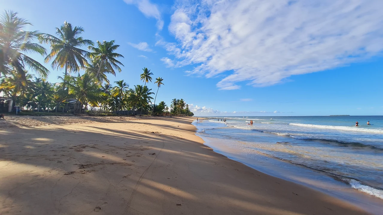 Historical coastal beach with coconut palms, sand, small waves and people by the water