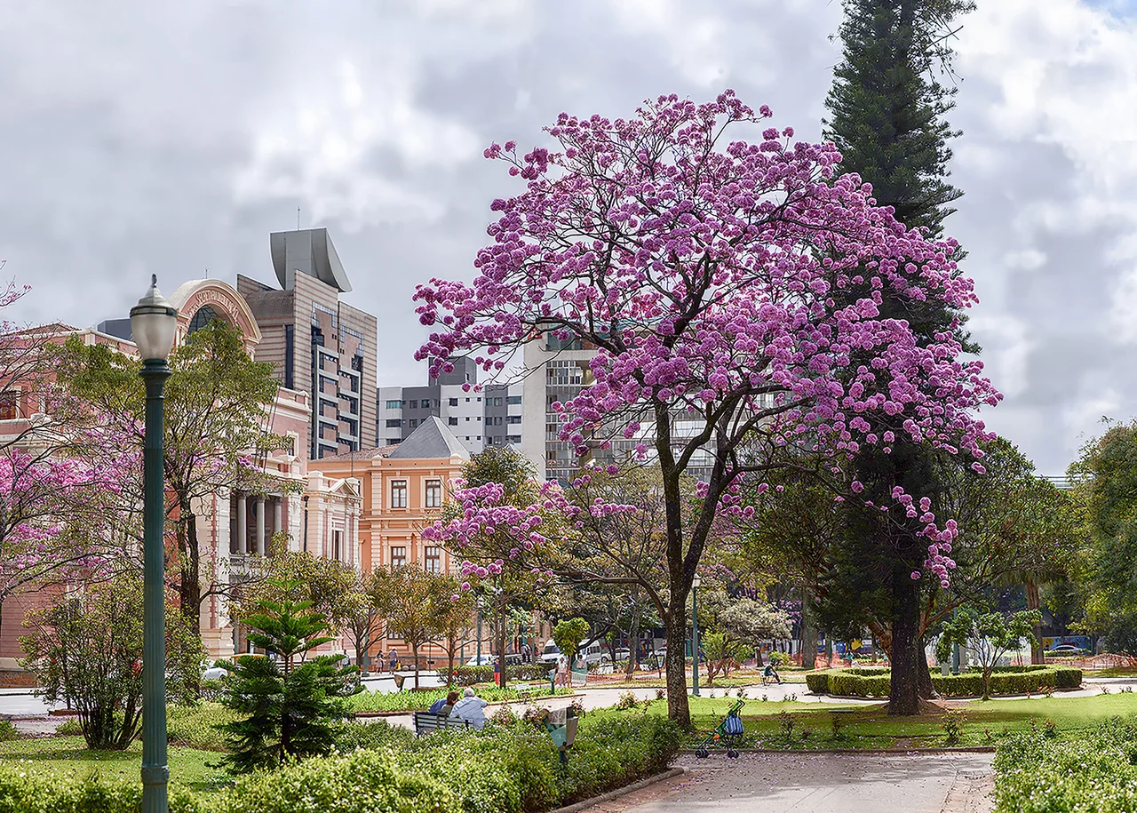Praça da Liberdade with trees, flowering branches and historic buildings in Belo Horizonte