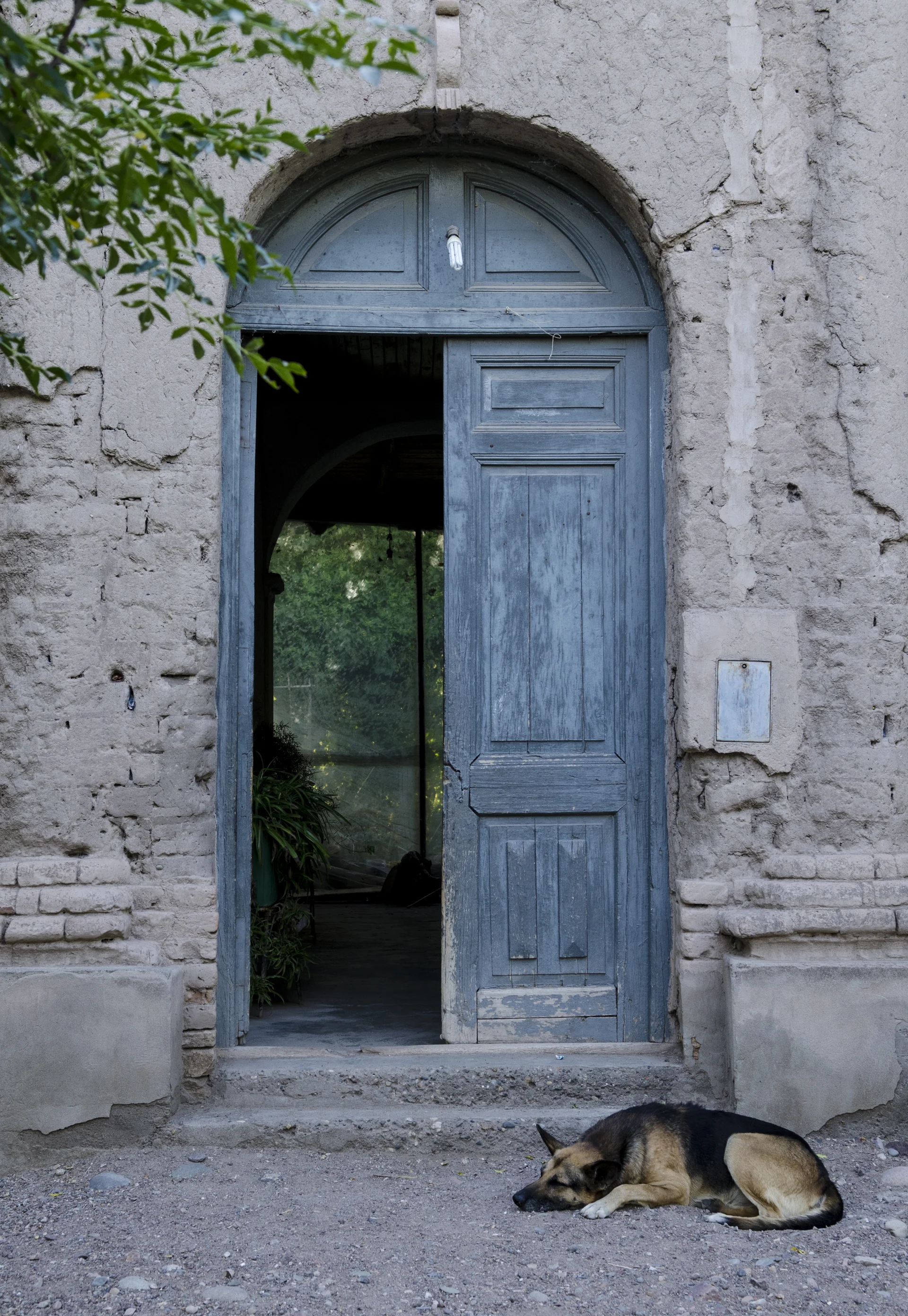 Blue wooden doorway in an adobe wall, with a dog resting beside the entrance