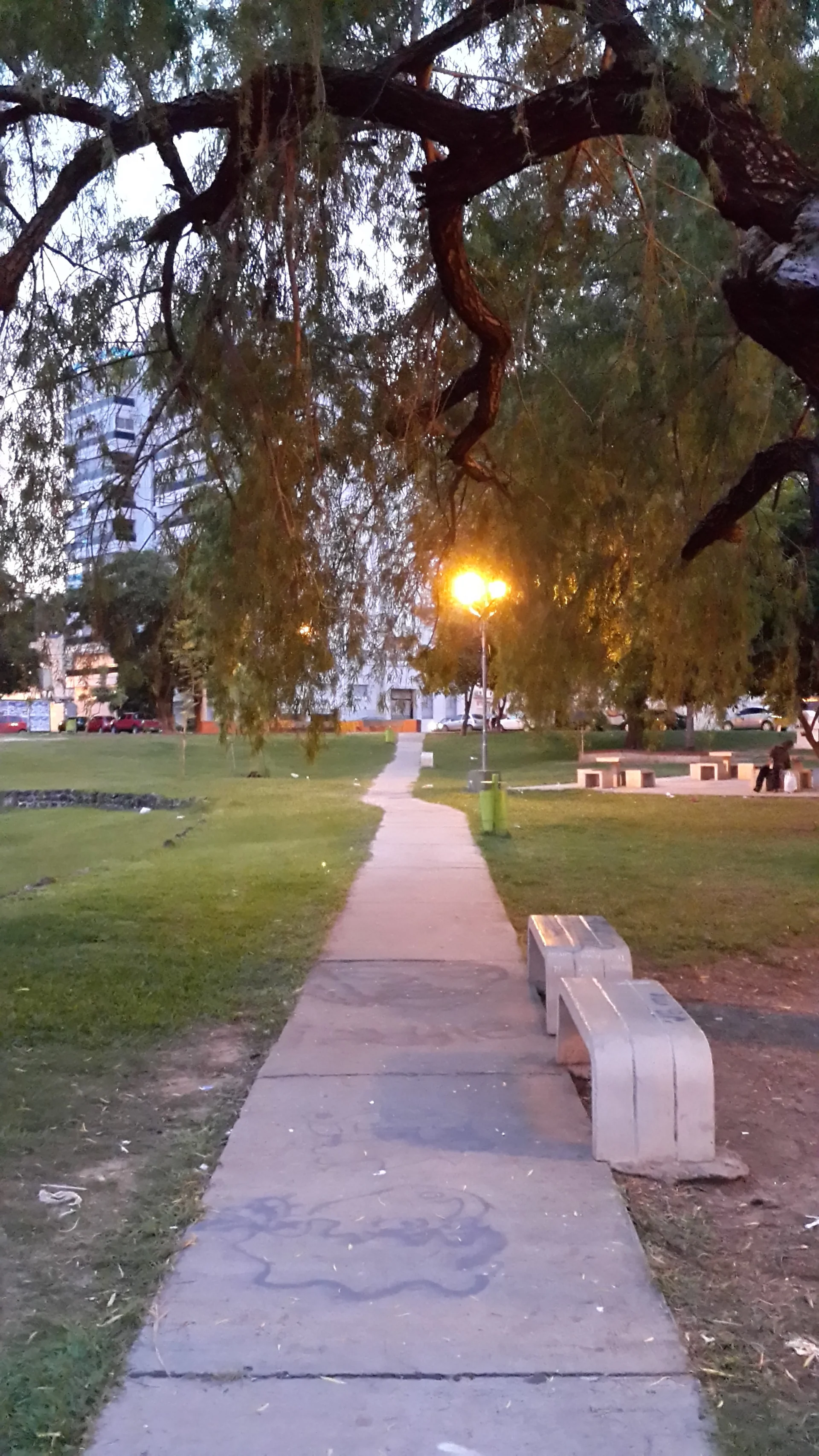 A tree-lined path with benches and a lamp in Parque Cambá Cuá