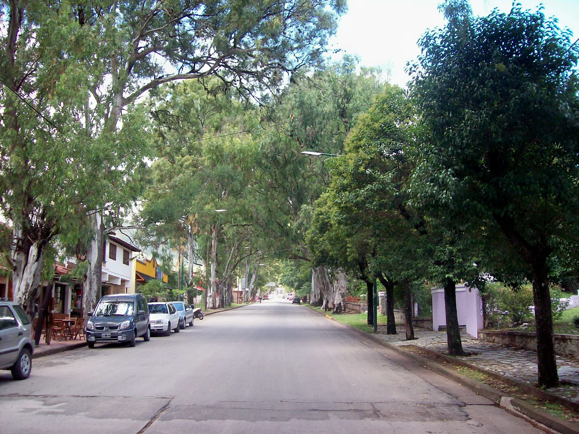 Avenida Edén lined with trees, homes and parked cars