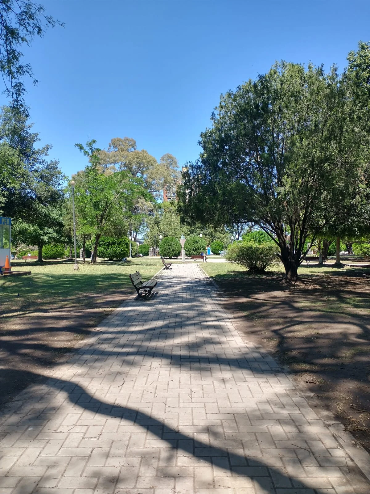 Tree-lined path and benches in Plaza Sáenz Peña, Paraná, in October 2025