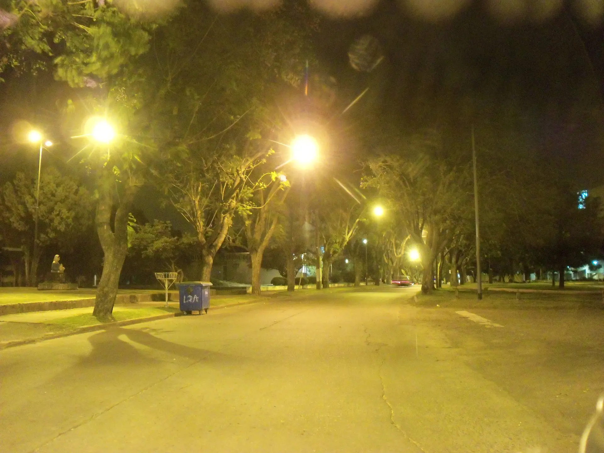 Tree-lined path and lights in Parque Alem, Rosario