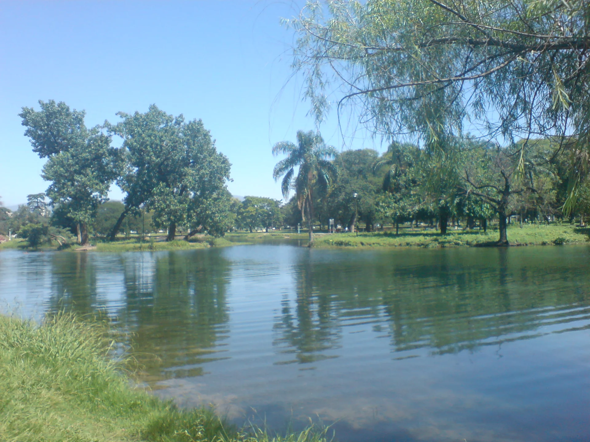 Lake San Miguel, trees and sky in Parque 9 de Julio in December 2010