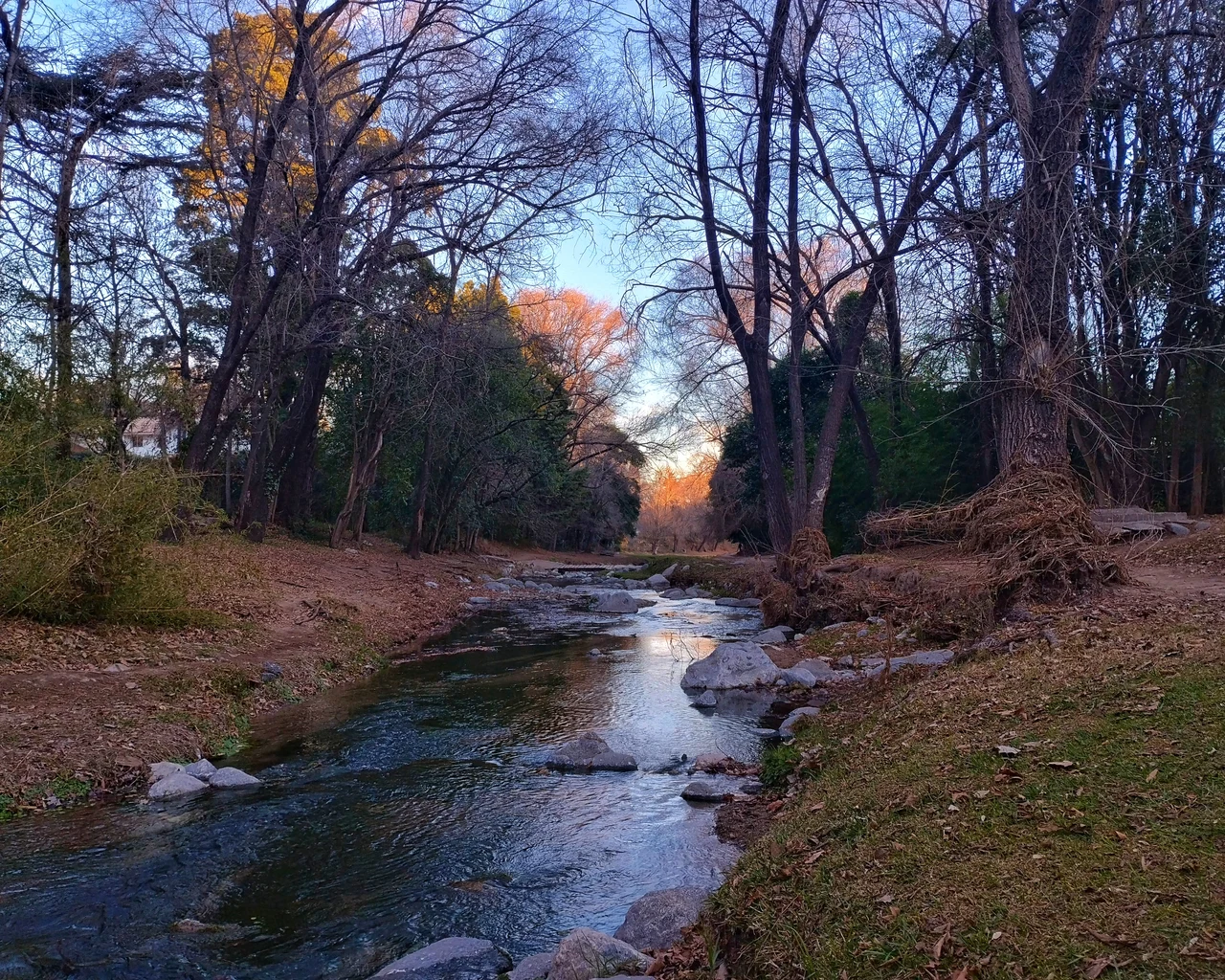 Shallow water and rocks in Arroyo El Sauce, with dirt paths and bare trees on both banks